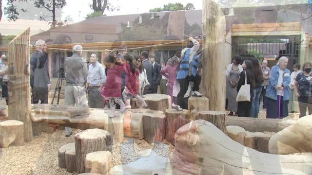 Bayview child care centers get new nature-inspired play space