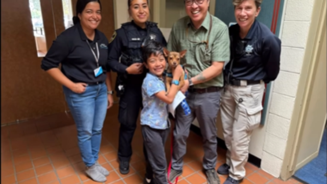 San Francisco family reunited with missing dog after a year