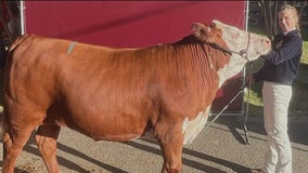 Sonoma teen raised $10k for doctors at Stanford who save her mom's life