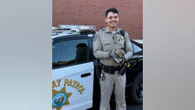 'Hare-raising' chase: CHP captures bunny hopping on Bay Bridge