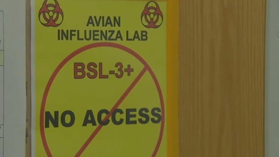 Bird flu causes Sonoma County farm to euthanize 57,000 ducks