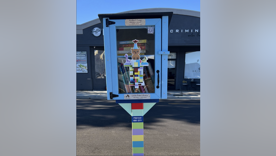Family of 4-year-old boy killed in Burlingame crash honor him with free 'little library'