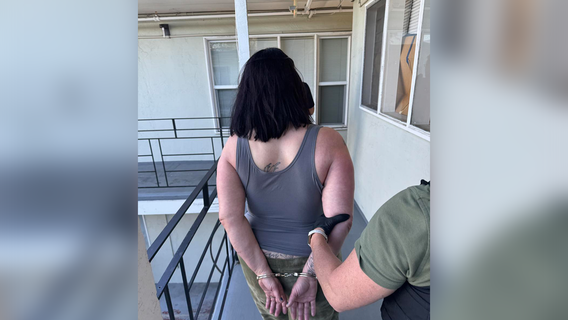 Suspects charged in Walnut Creek home burglary caught on camera