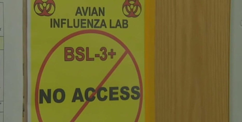 Bird flu causes Sonoma County farm to euthanize 57,000 ducks