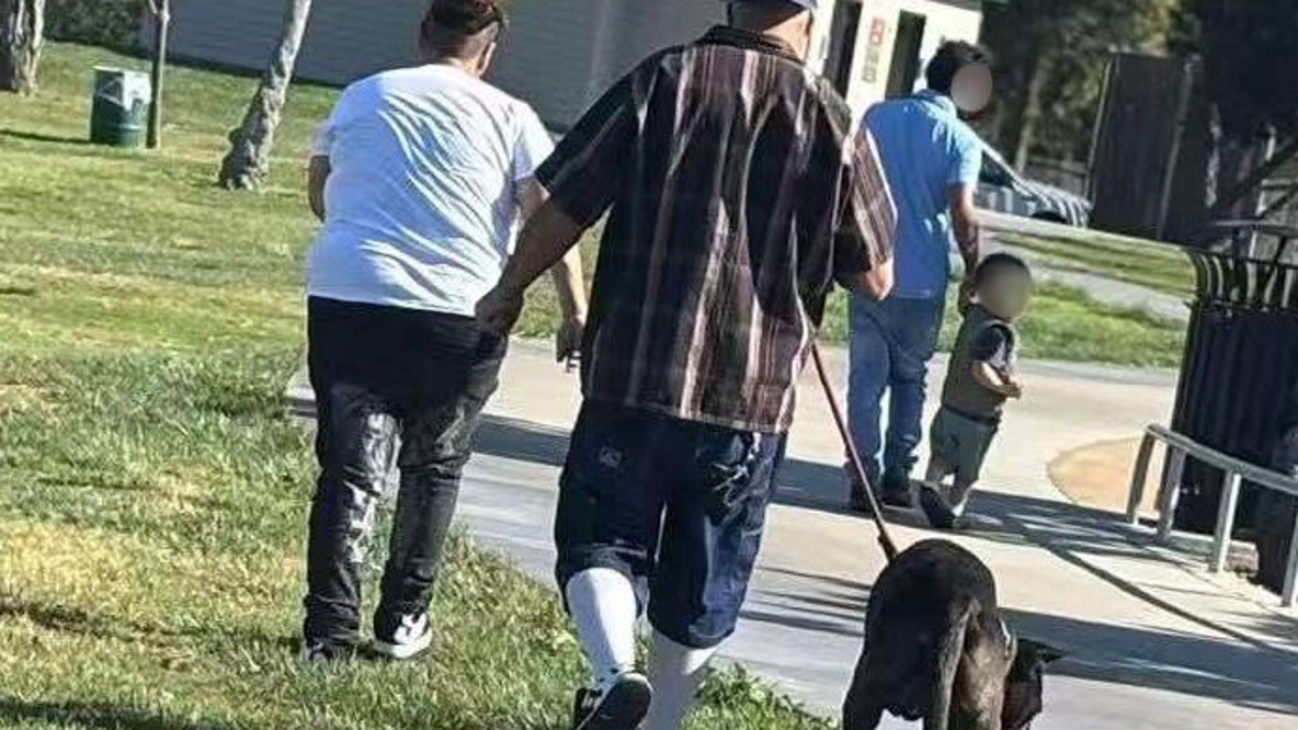 Off-leash dog attacks, kills family pet in Fremont park