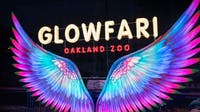 Tariffs making Oakland Zoo's 'Glowfari' tickets more expensive this year