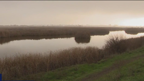 Skip the malls, enjoy Green Friday at the park