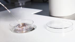 Bay Area scientist launches new company with sights on gene-edited babies