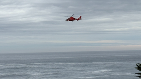 Monterey Co. coroner IDs 7-year-old girl swept into sea while with family