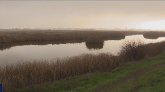 Skip the malls, enjoy Green Friday at the park