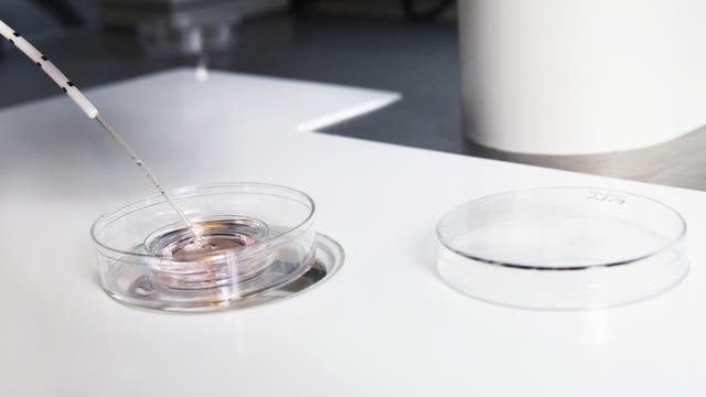 Bay Area scientist launches new company with sights on gene-edited babies