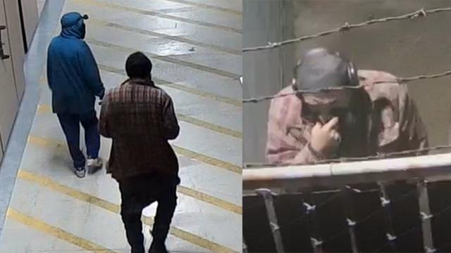 Watch: Surveillance video shows suspects in Oakland Museum theft