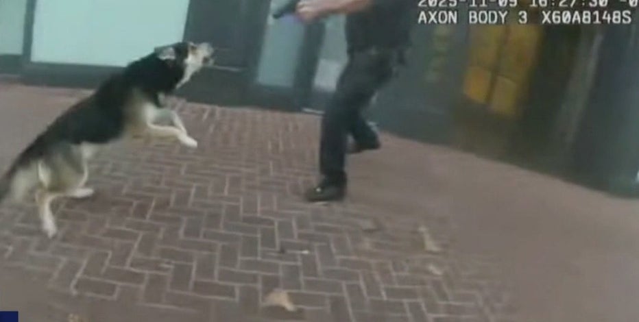 Body-cam footage of SFPD shooting and wounding suspect and dog