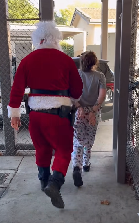 'Cop Santa Claus' takes suspected Christmas tree thieves into custody in bizarre police video