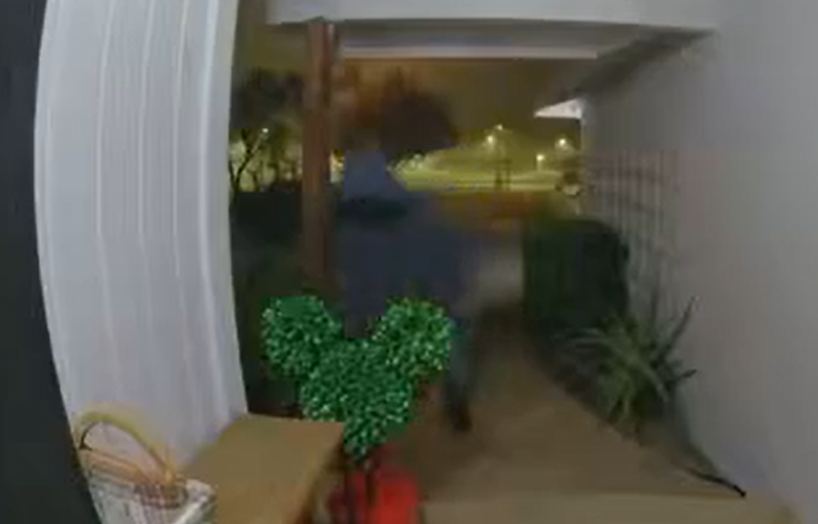 Thief steals more than $1,000 worth of Disney Christmas decorations from San Jose home