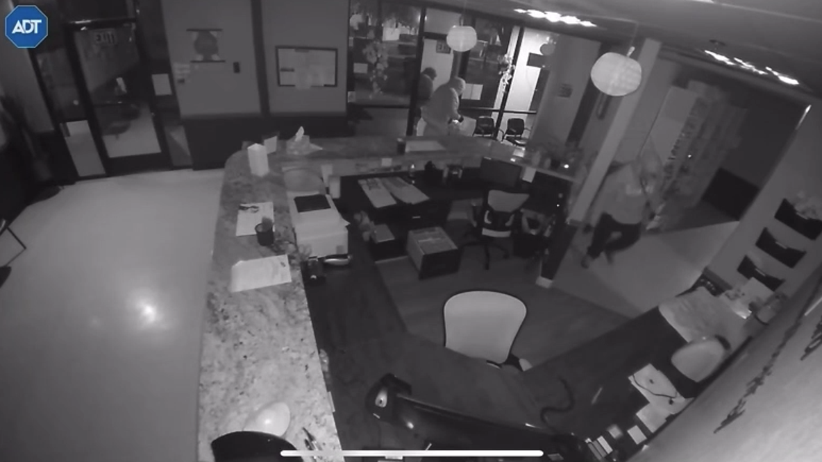 Burglars steal cremated pet remains from Brentwood vet hospital