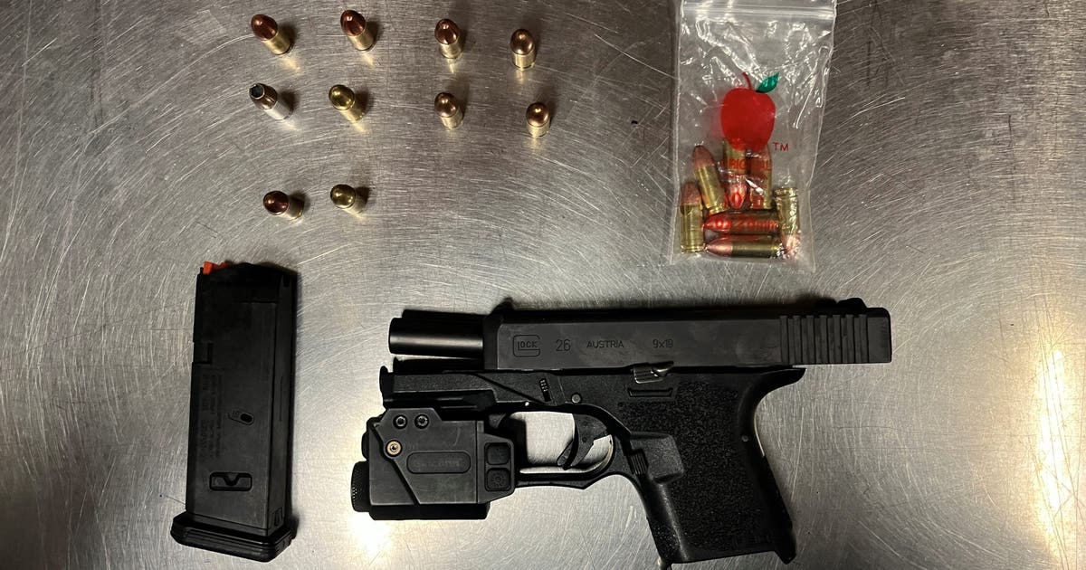 19-year-old arrested in Santa Rosa after unregistered gun found during ...