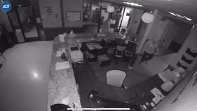 Burglars steal cremated pet remains from Brentwood vet hospital