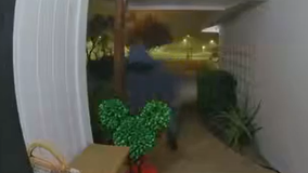 Thief steals more than $1,000 worth of Disney Christmas decorations from San Jose home