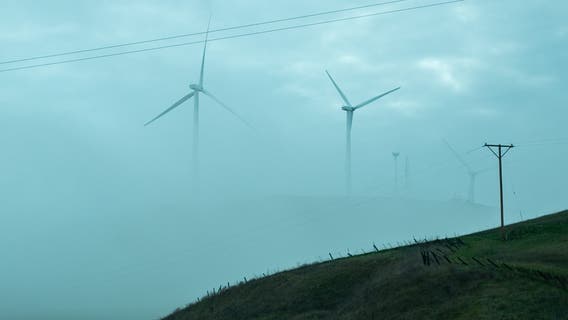 Crashes, heavy fog snarl traffic on Vasco Road