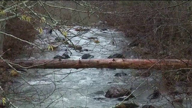 Ringing in the new year with wet weather