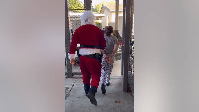 'Cop Santa Claus' takes suspected Christmas tree thieves into custody in bizarre police video