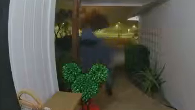 Thief steals more than $1,000 worth of Disney Christmas decorations from San Jose home