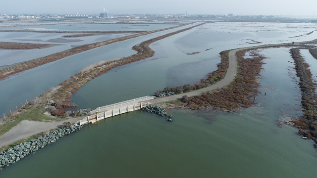 Hayward shoreline will be protected 'in perpetuity:' park district