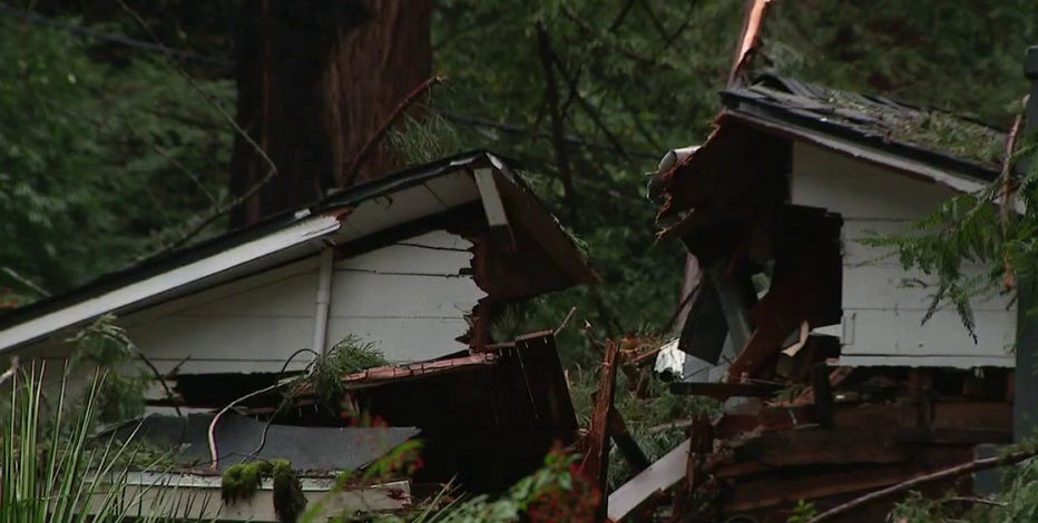 Guerneville family displaced after tree fell on home, nearly hitting sleeping toddler