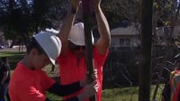 Volunteers gather to plant trees in San Jose for MLK Day of Service