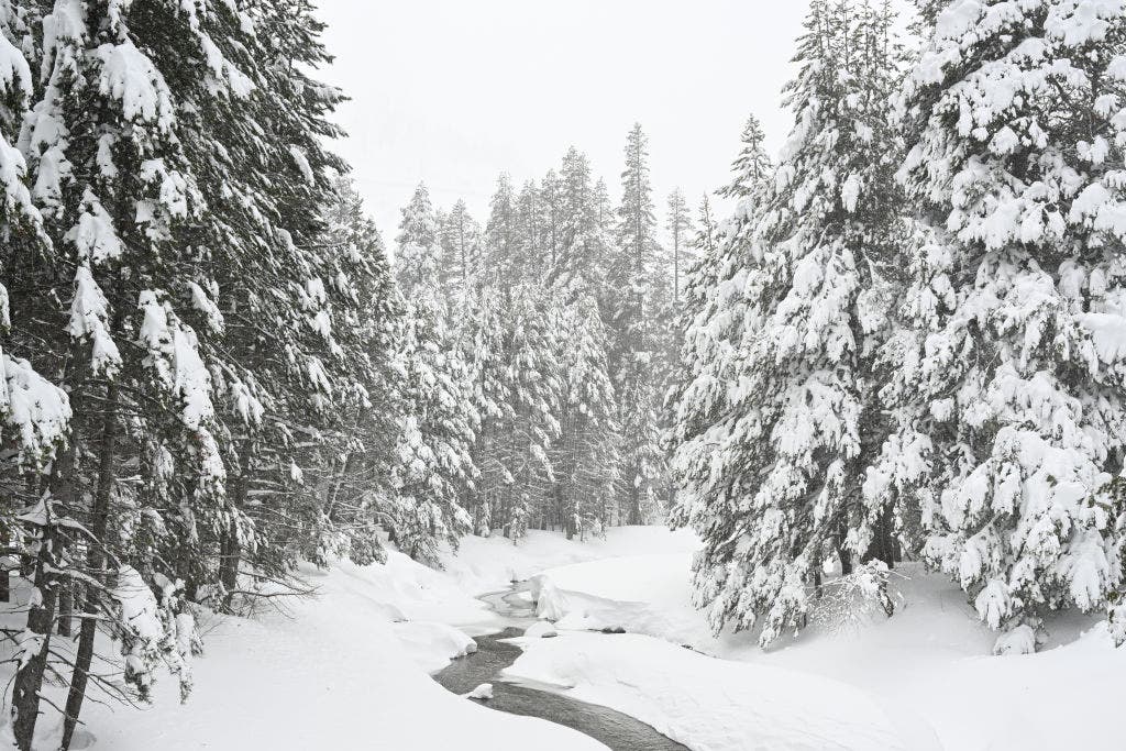 Lake Tahoe avalanche: What we know about the victims and survivors