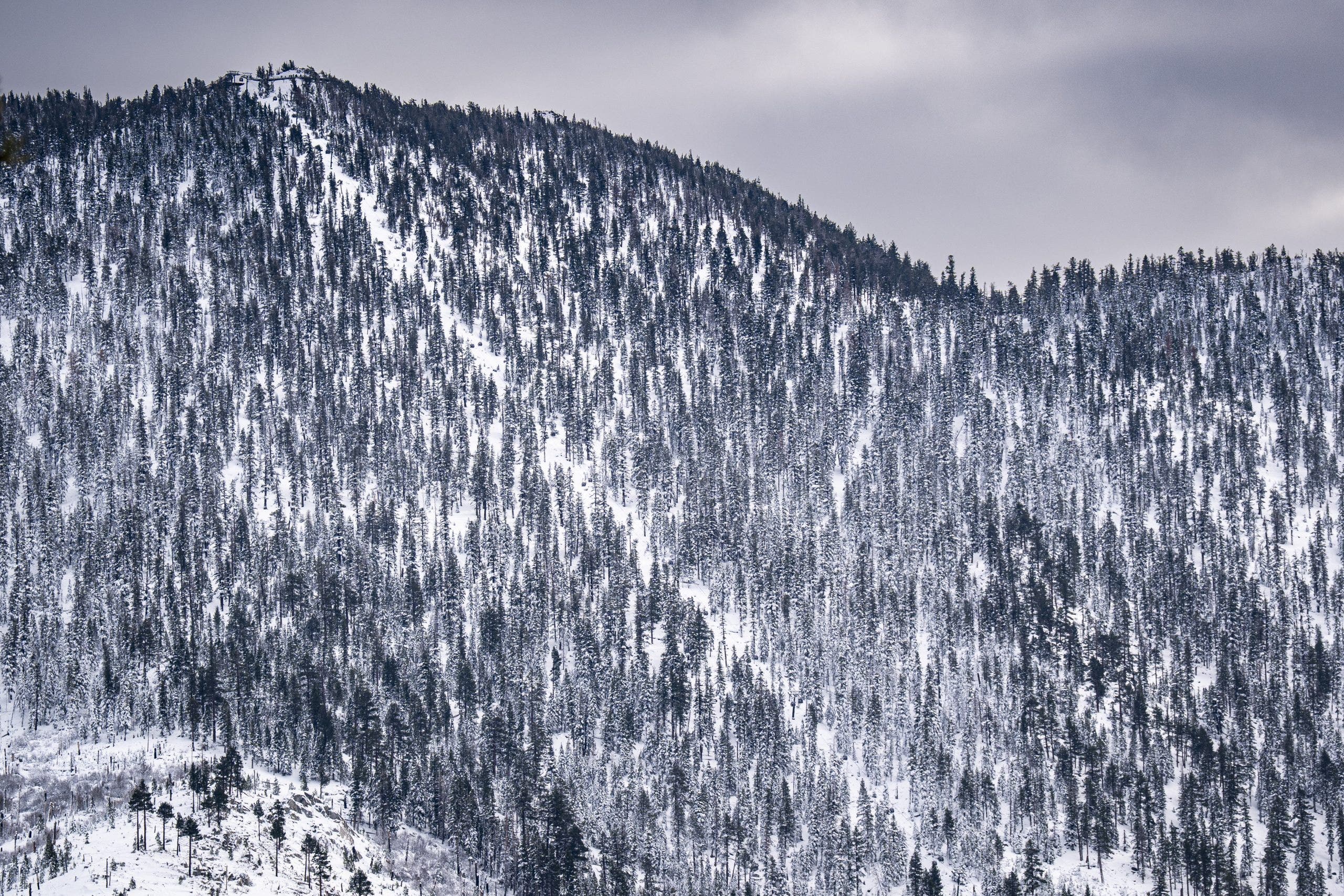 Lake Tahoe rescuer discovers deceased spouse following avalanche