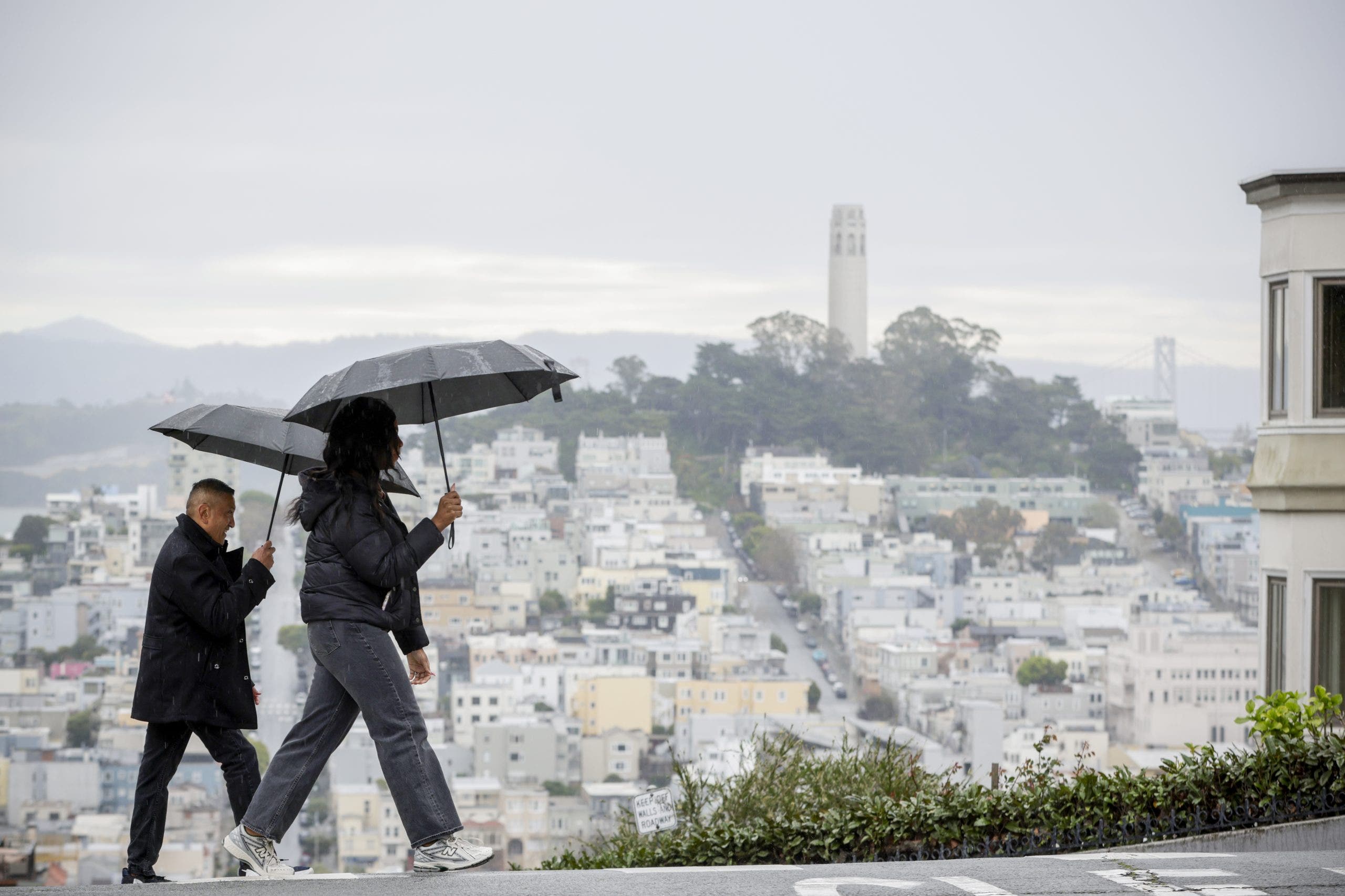 Live updates: Rain pummels Bay Area, bringing downed trees and power outages