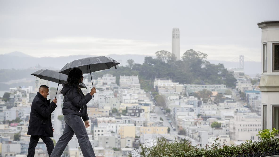 Live updates: Fallen trees, road closures as rain pummels Bay Area