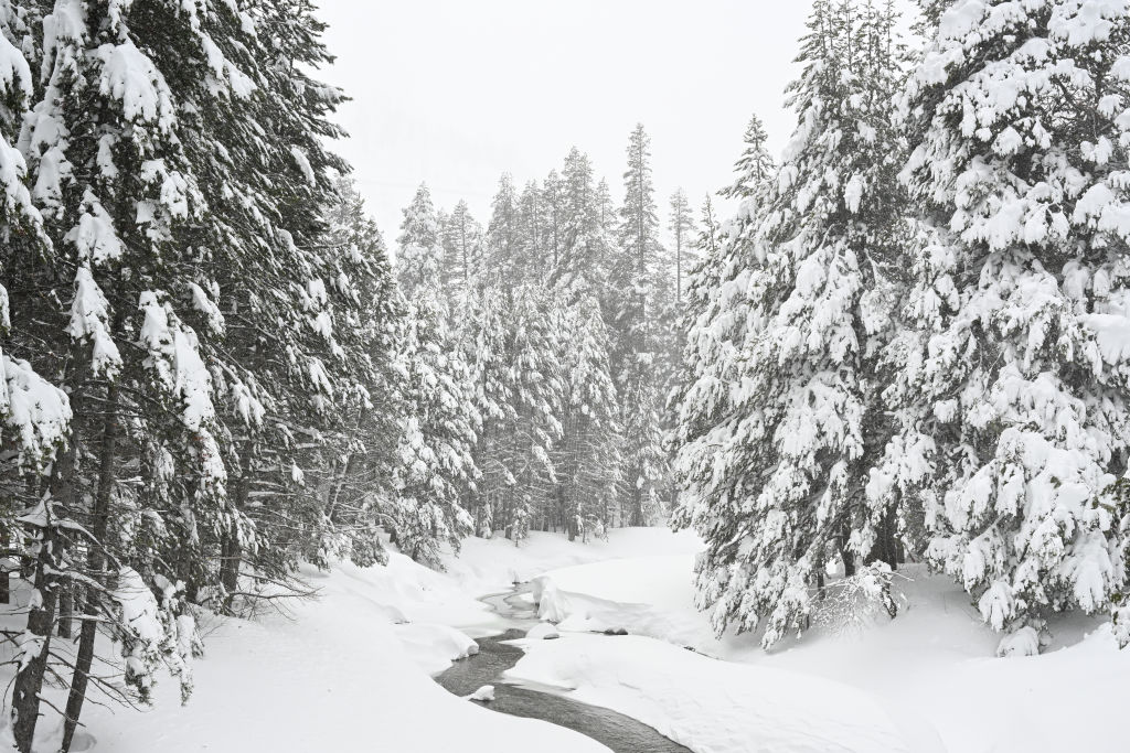 Lake Tahoe avalanche: Who are the victims and survivors? Lake Tahoe avalanche: Who are the victims and survivors?