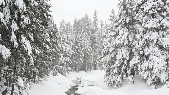 Lake Tahoe avalanche: What we know about the victims and survivors