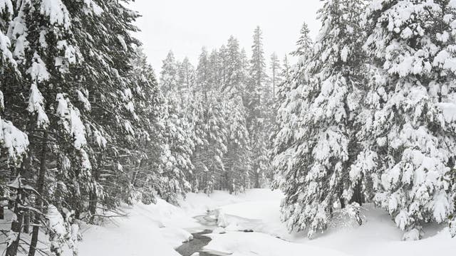 Lake Tahoe avalanche: What we know about the victims and survivors