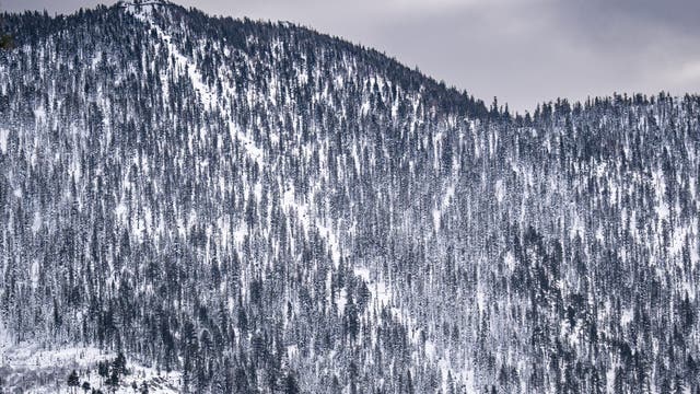 Avalanche victim is spouse of Tahoe Nordic Search and Rescue team member, sheriff says