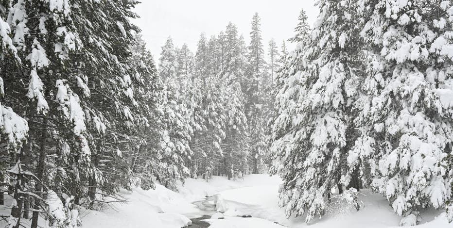 Lake Tahoe avalanche: What we know about the victims and survivors