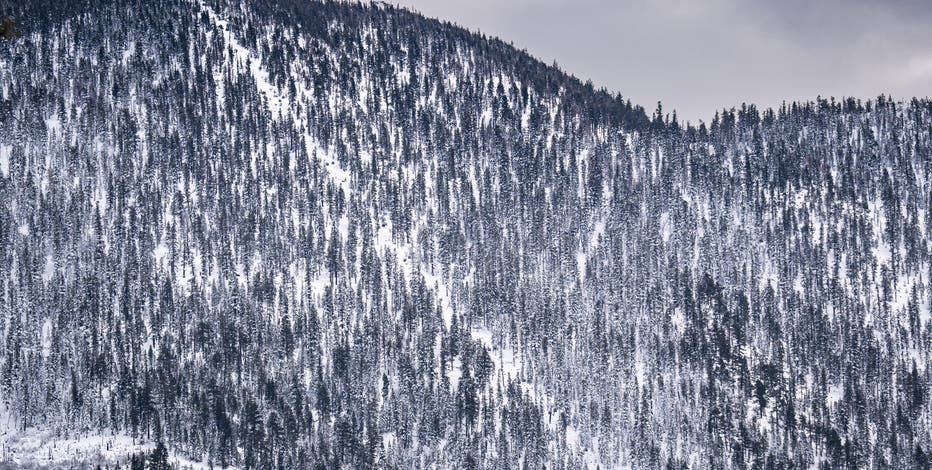 Avalanche victim is spouse of Tahoe Nordic Search and Rescue team member, sheriff says