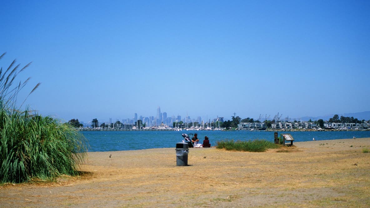 Hundreds of teens flock to Alameda beach despite warnings, fights leave one injured