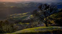 Mount Diablo faces oil drilling threat as part of Trump administration's aggressive energy push