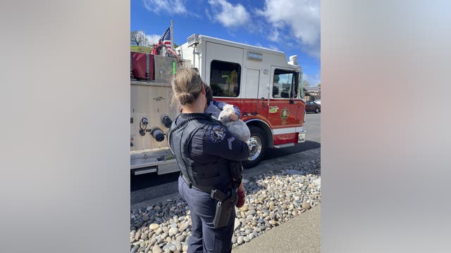 Novato man arrested for kidnapping 3-year-old during family dispute, child safe