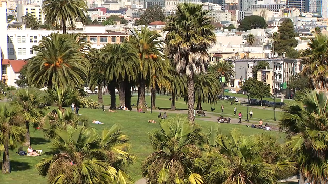 Dolores Park stabbing: What we know about the 8 arrests