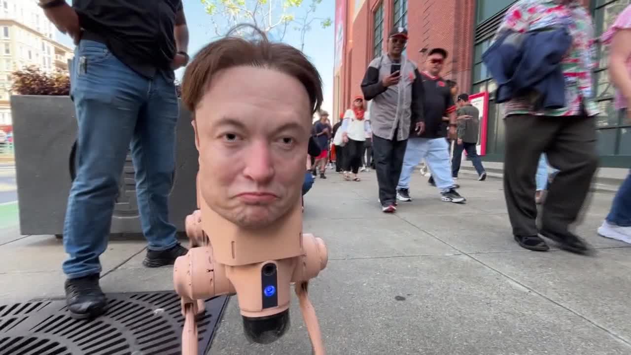 If you saw Elon Musk's head roaming San Francisco, you weren't imagining it