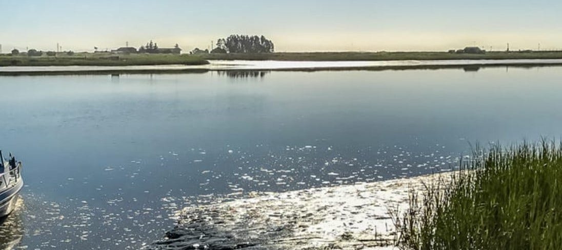 6 rescued off vessel 'in distress' in San Pablo Bay