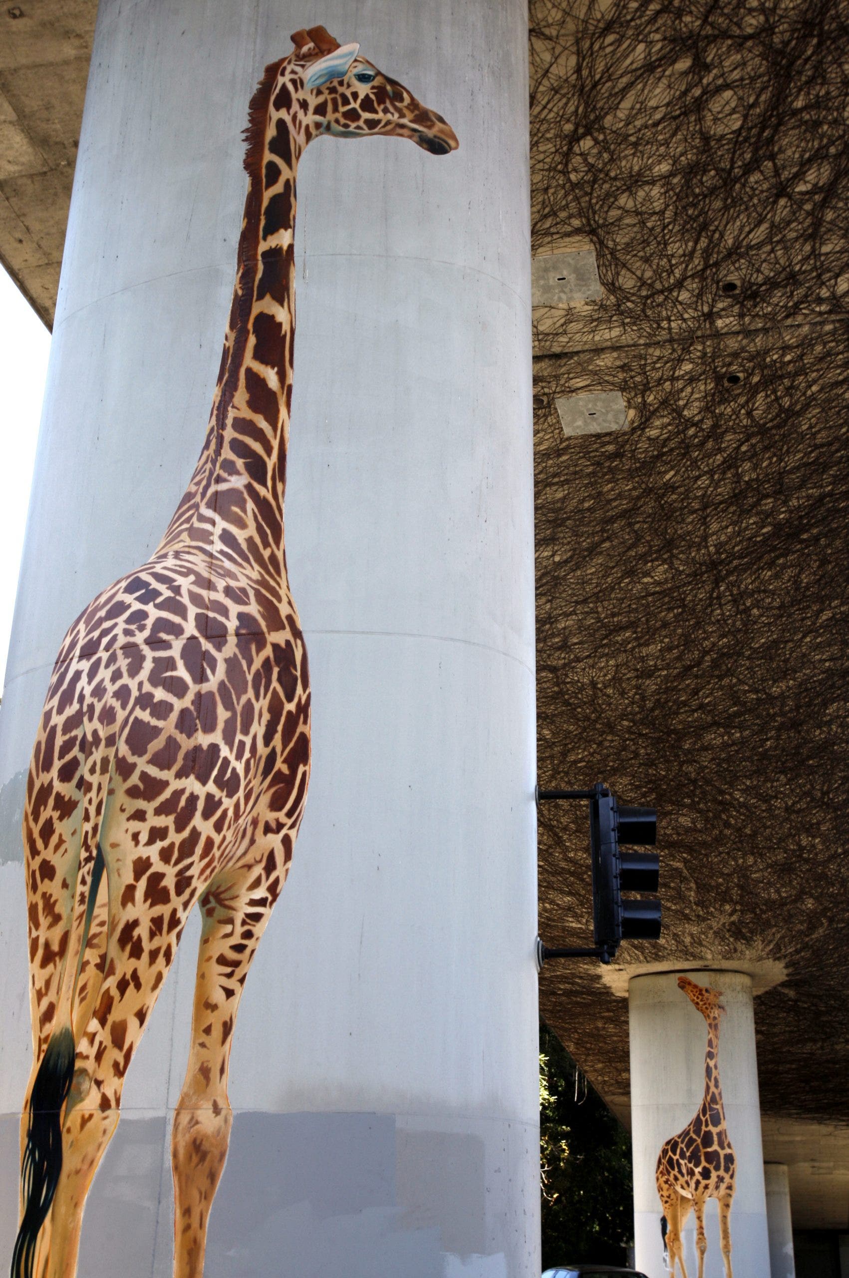 Iconic Oakland artist behind beloved giraffe mural dies at age 67