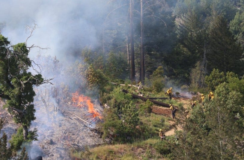 Vegetation Briggs Fire burns in Sonoma County