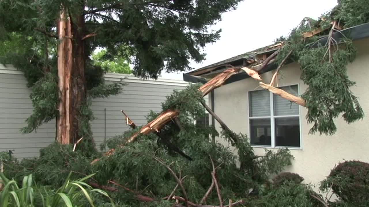 Santa Rosa tree explodes after lightning strike