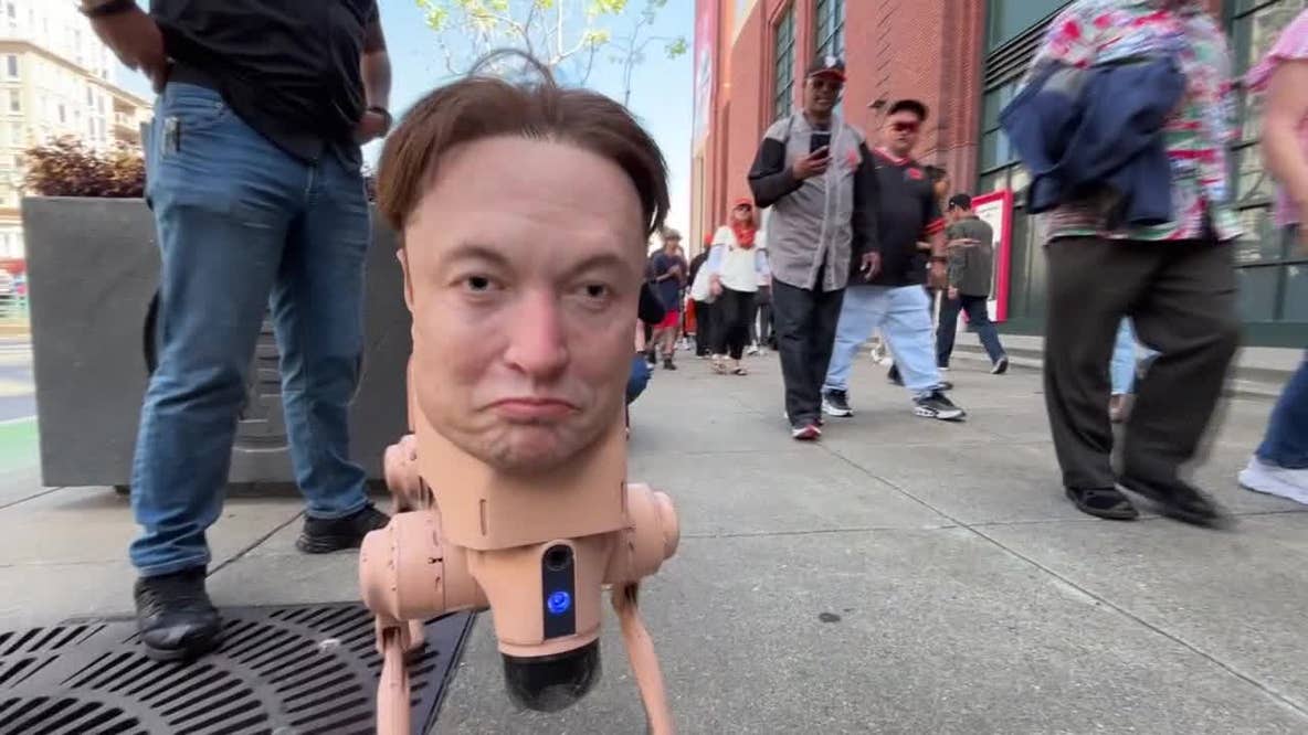 If you saw Elon Musk's head roaming San Francisco, you weren't imagining it